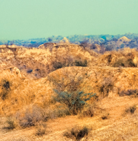 Wastelands-Land Degradation